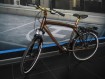 BMW Touring Bike II braun/gold XL