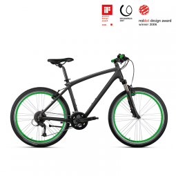 BMW Cruise Bike 2013