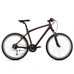 BMW Cruise Bike 2013